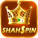Shah Spin
