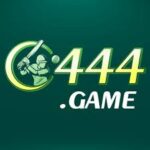 C444 Game