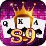 Super S9 Game